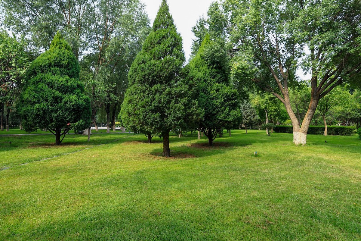 溜达随手拍着玩