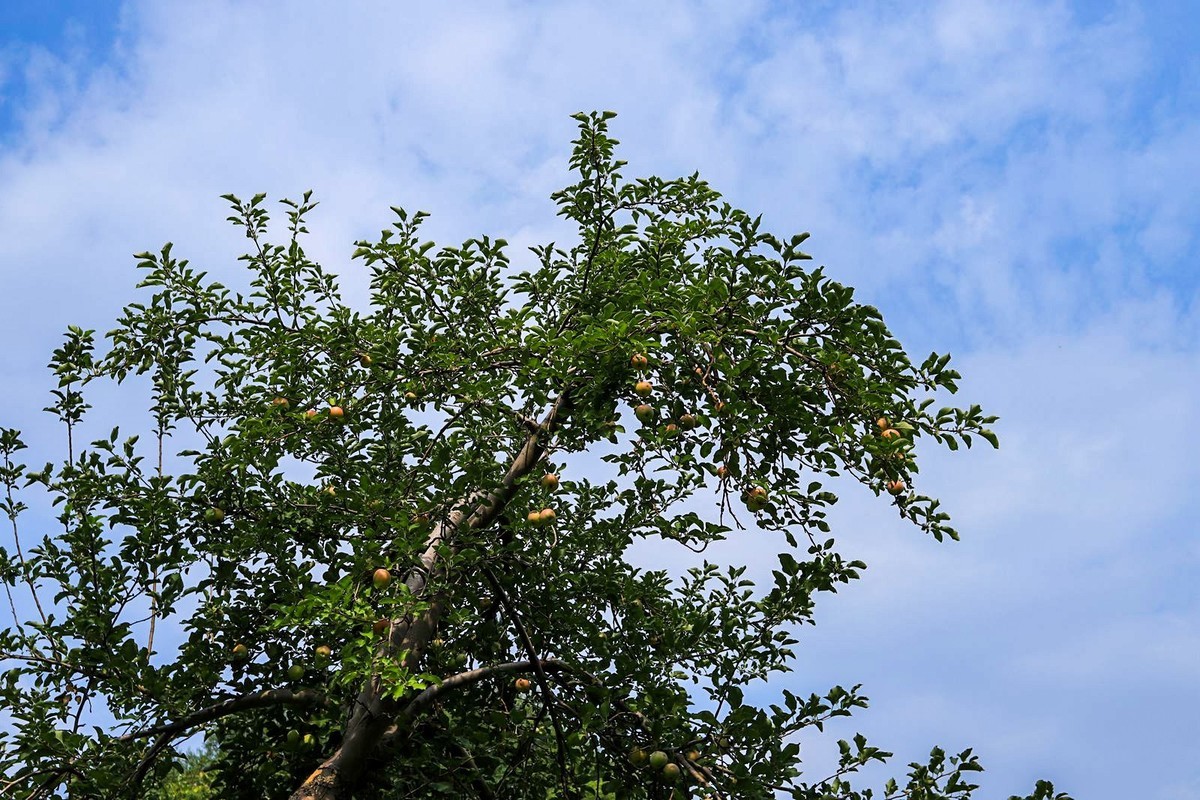 溜达随手拍着玩