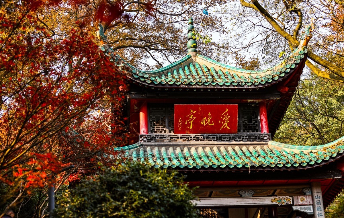 霜叶红于二月花--爱晓亭