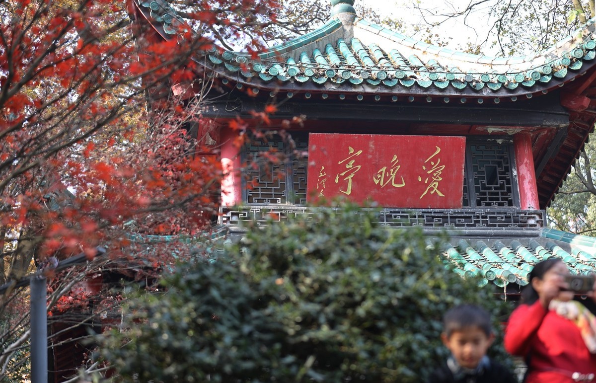 霜叶红于二月花--爱晓亭