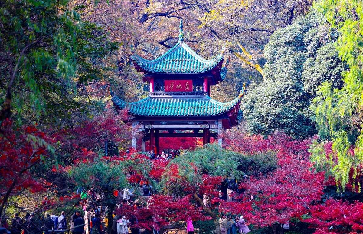 霜叶红于二月花--爱晓亭