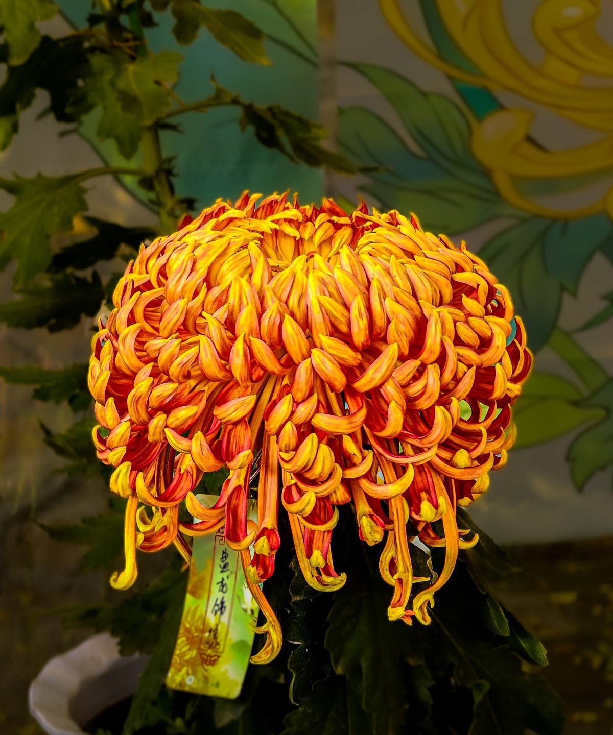 手机游拍20241112 《57》