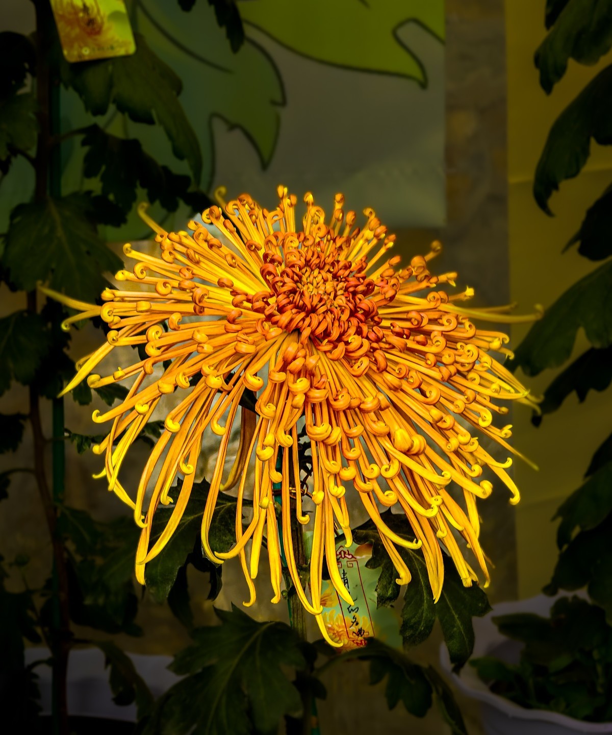 手机游拍20241112 《57》