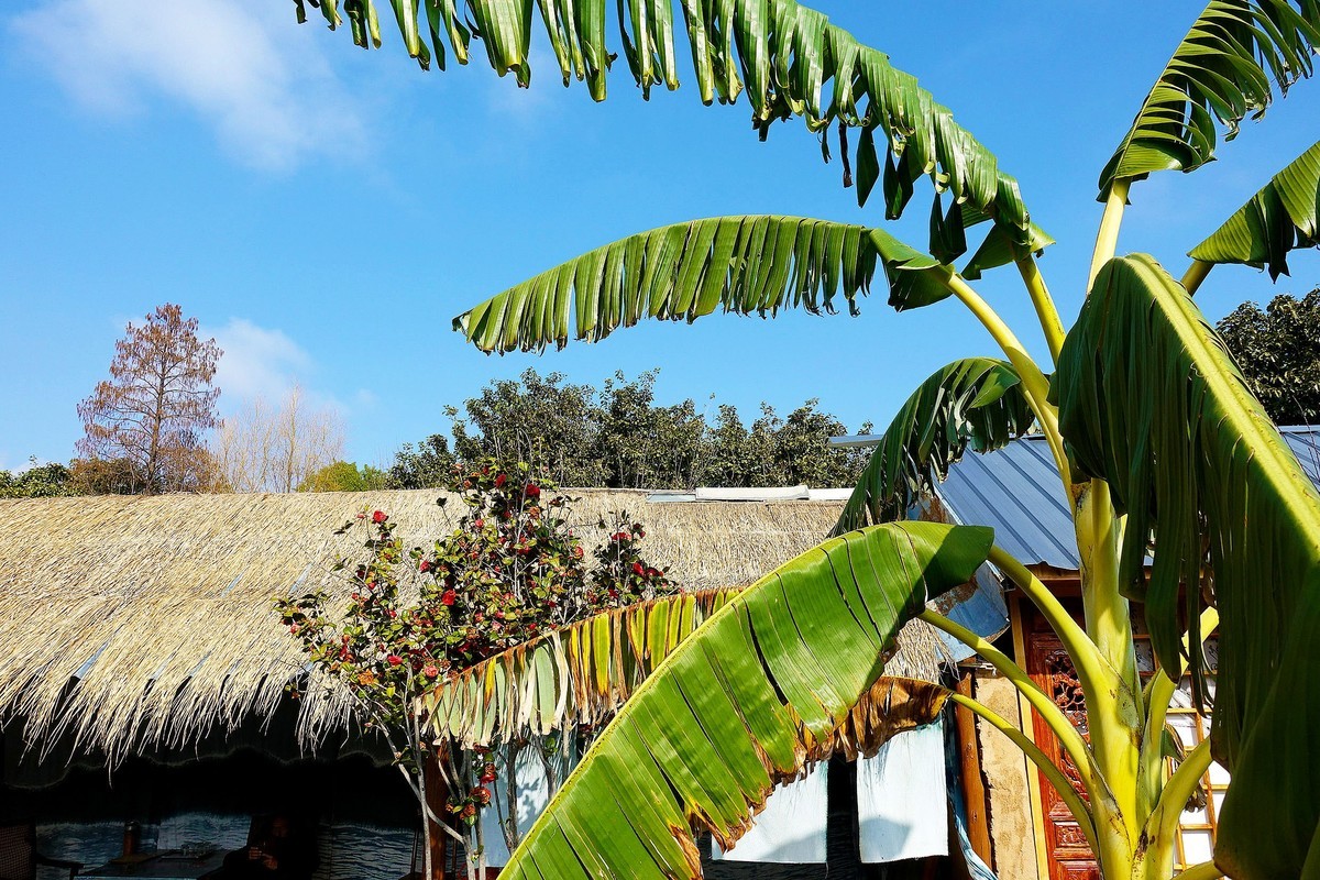 “龙下登”民族村扫描