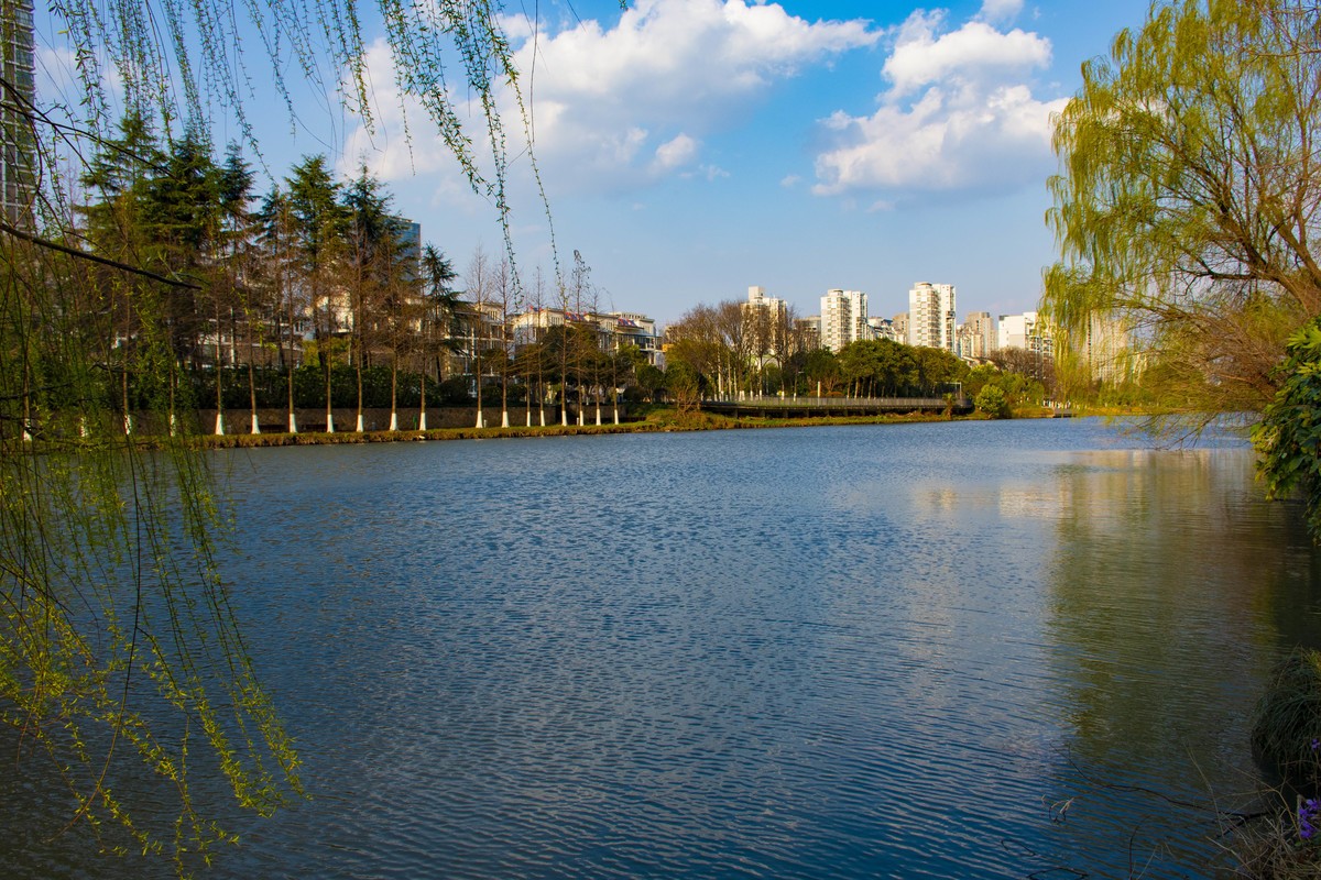 拍照狂魔之-周末随手杂拍一组【12P】