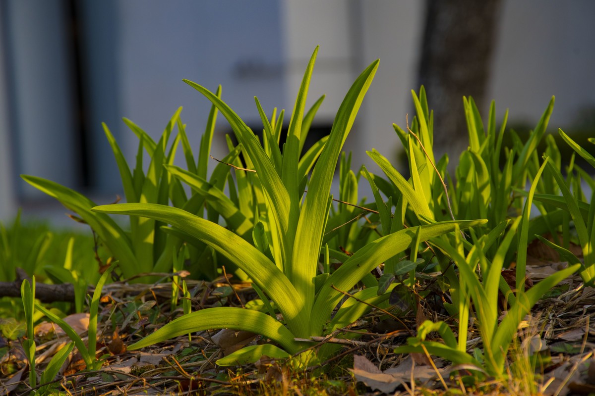 拍照狂魔之-周末随手杂拍一组【12P】