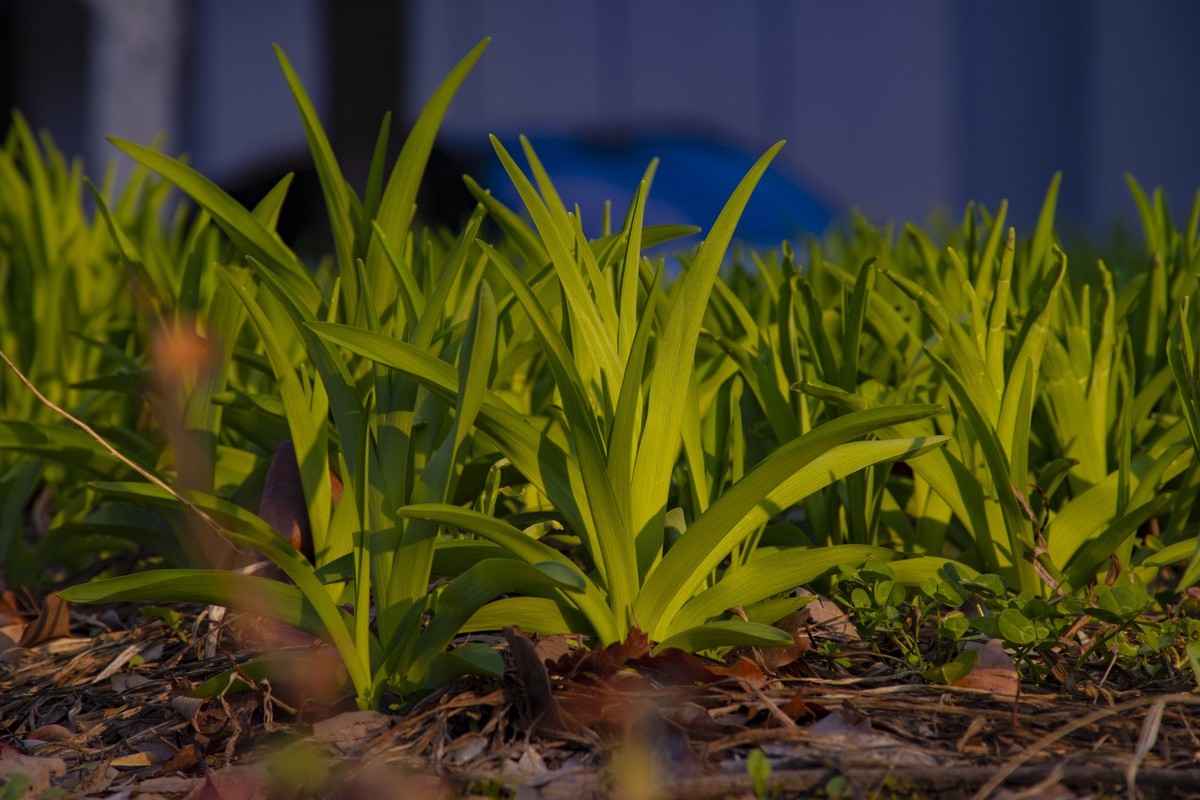 拍照狂魔之-周末随手杂拍一组【12P】