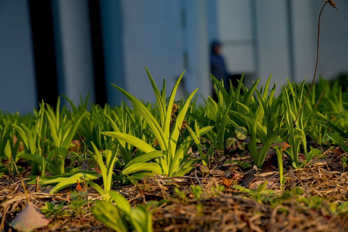 拍照狂魔之-周末随手杂拍一组【12P】