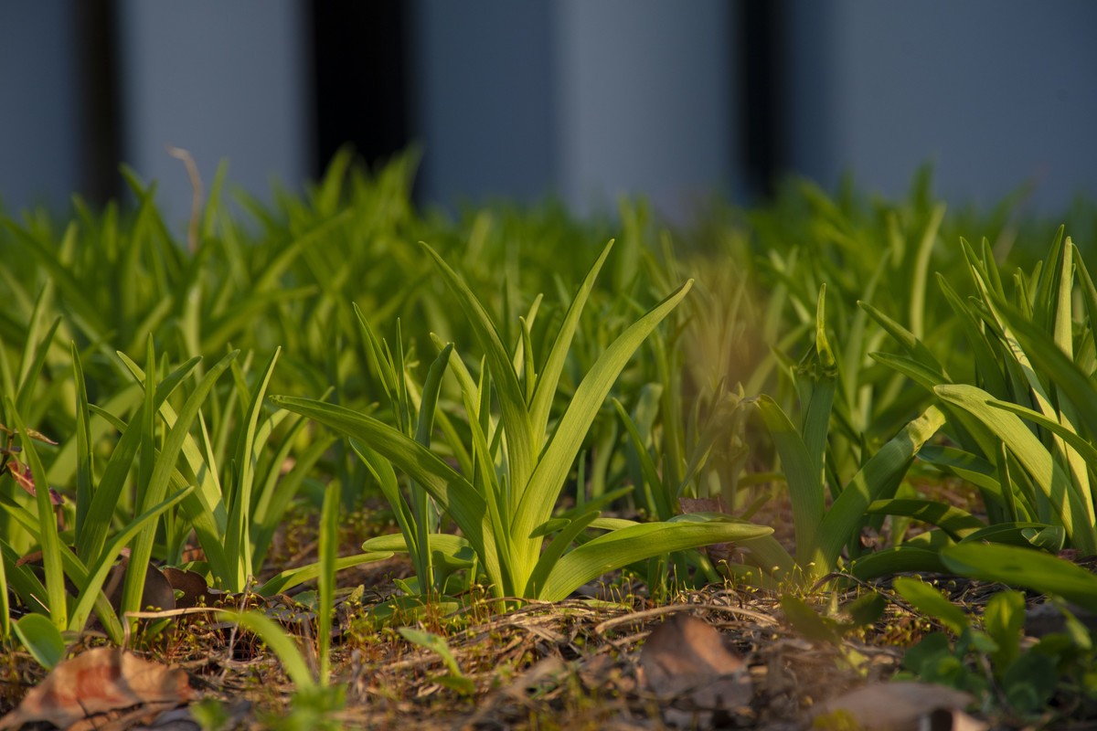 拍照狂魔之-周末随手杂拍一组【12P】