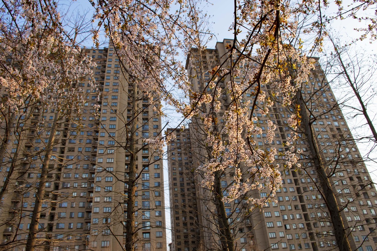 拍照狂魔之-周末随手杂拍一组【12P】