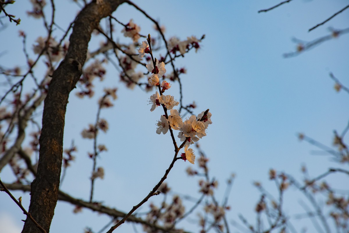 拍照狂魔之-周末随手杂拍一组【12P】