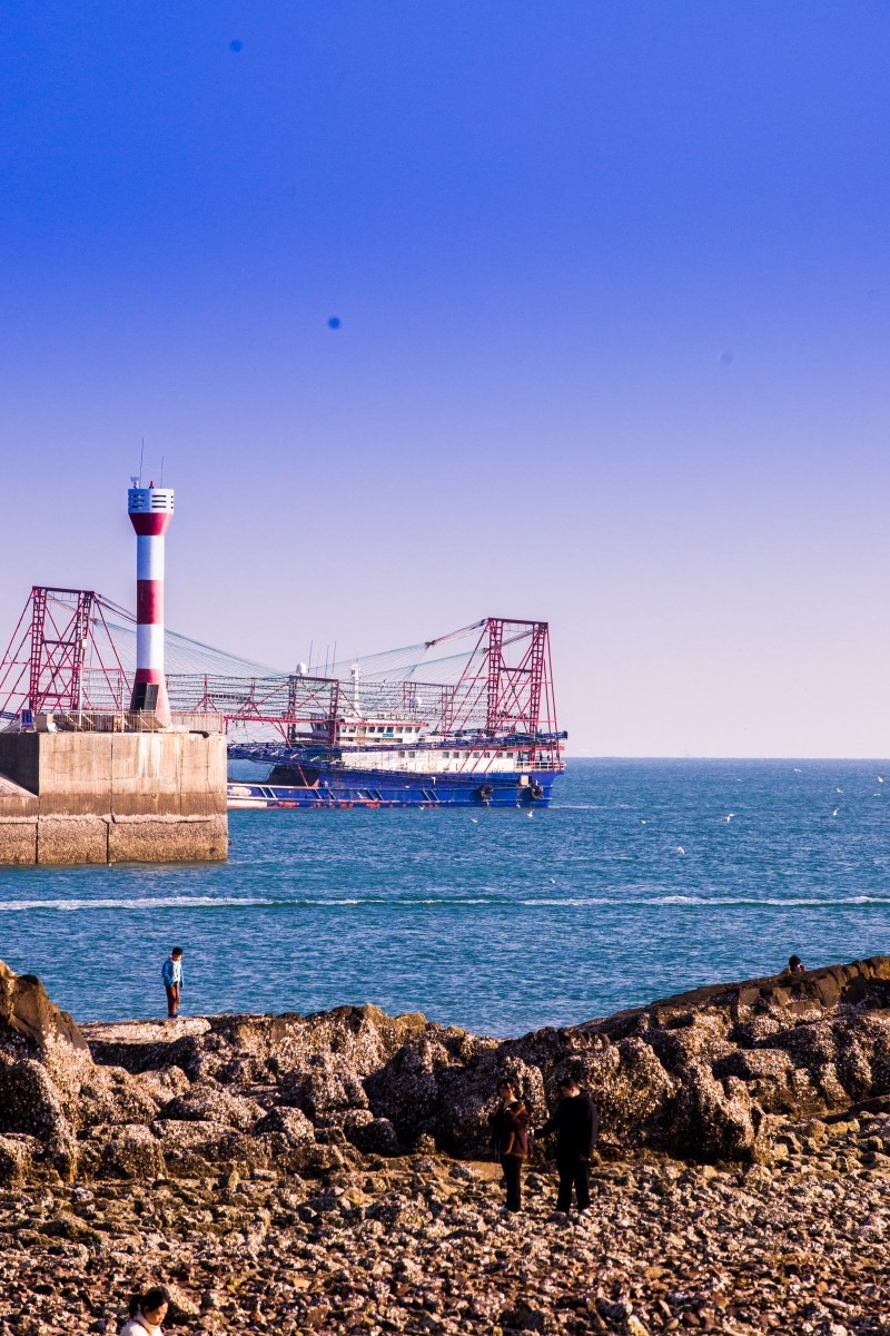 外出随拍（续394）.