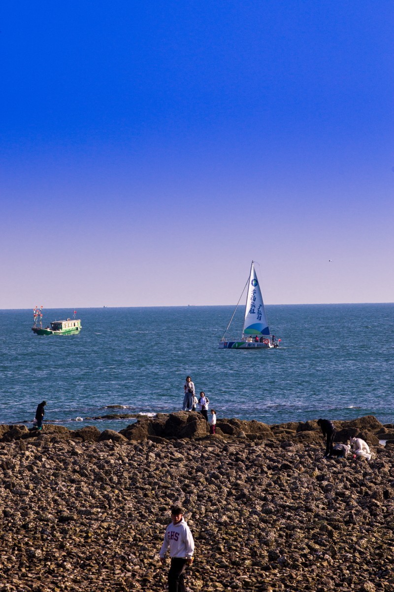 外出随拍（续394）.