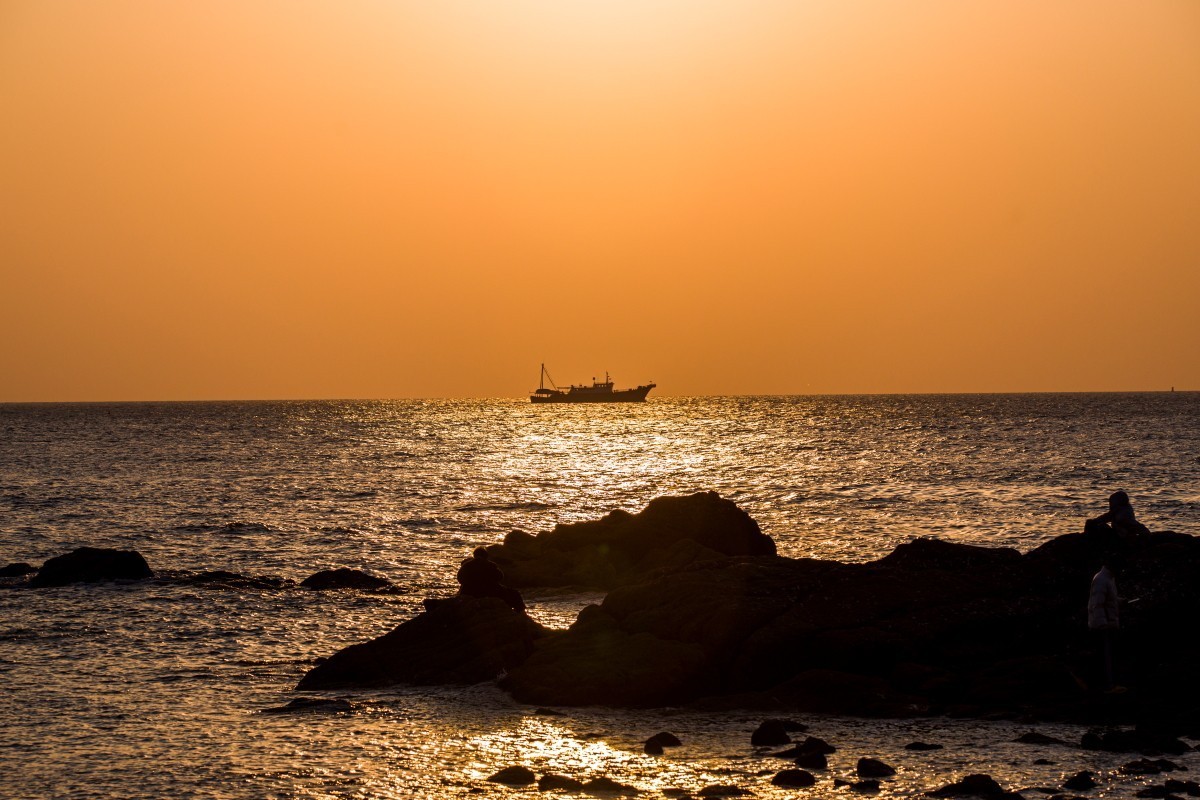 外出随拍（续394）.