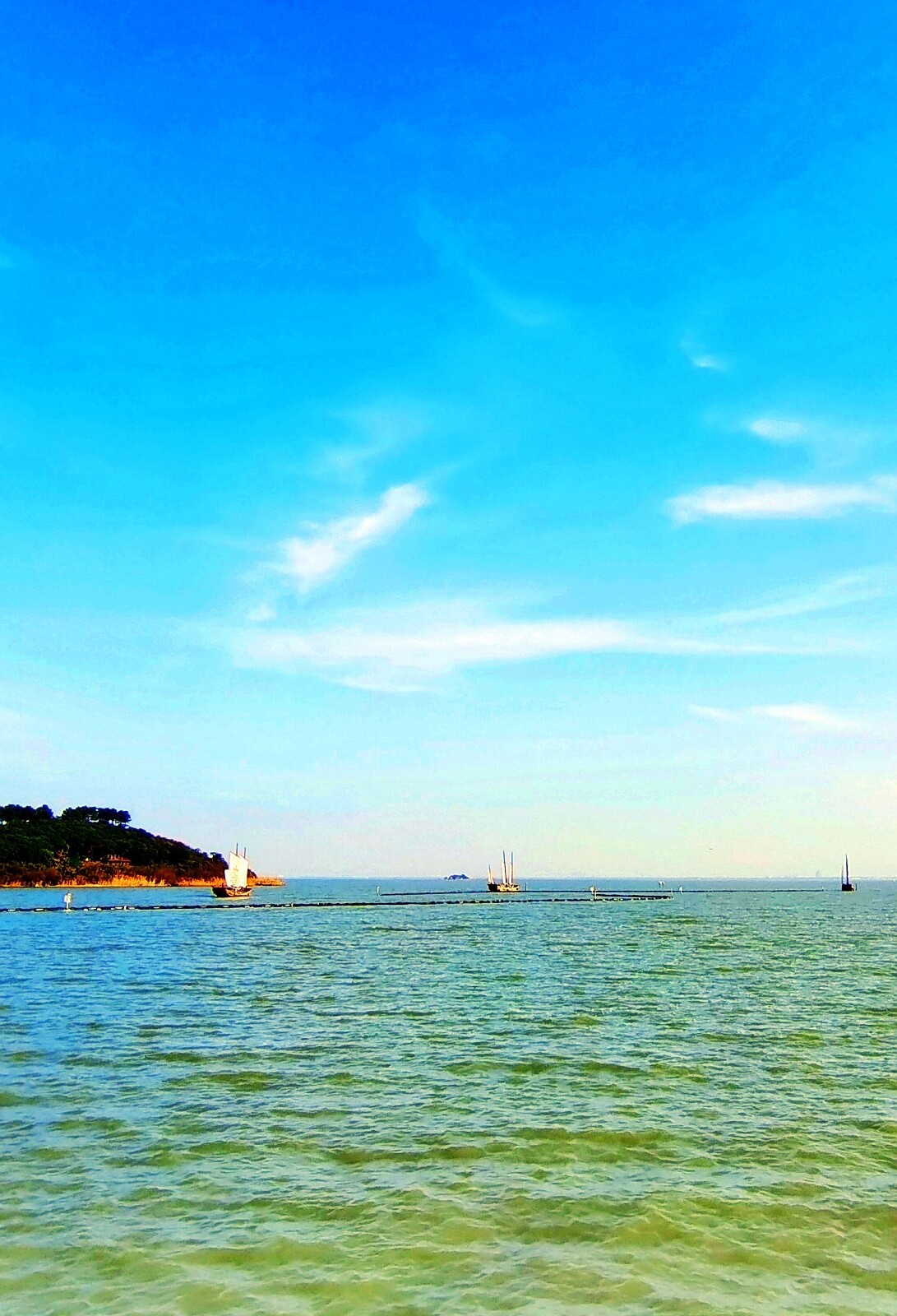 景观 / 苏州 2020 ~ 2021