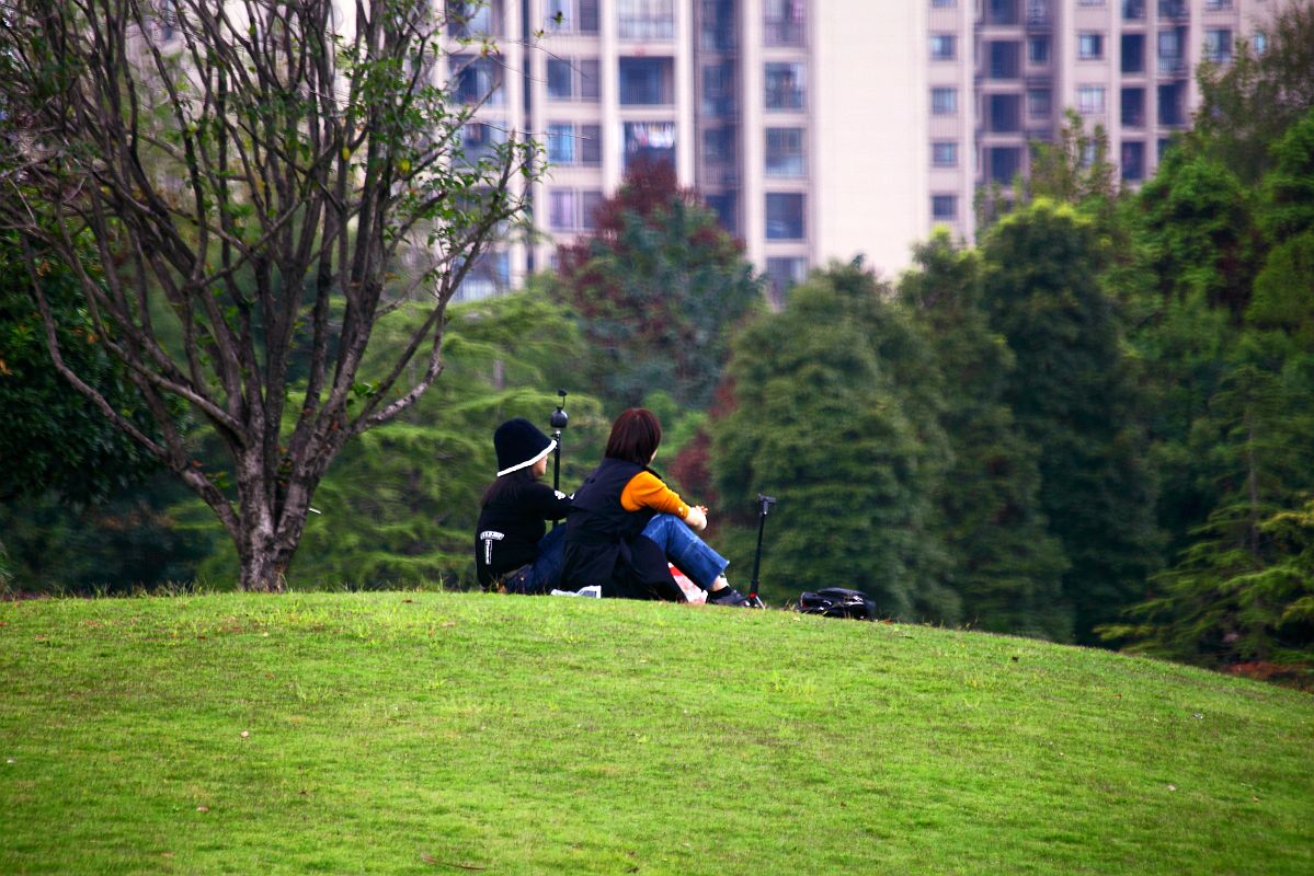 疫情封控中，只能在小区内随拍（七）