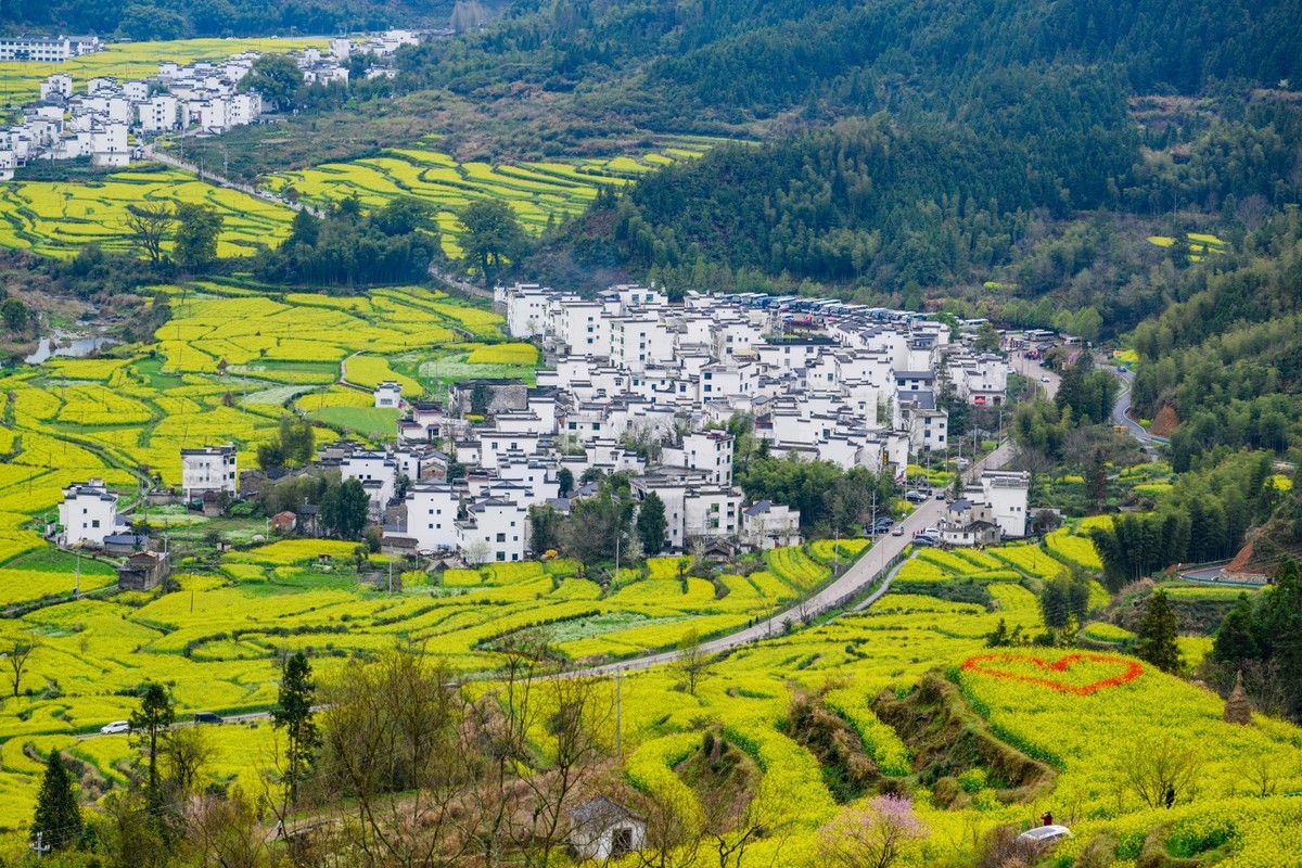 婺源之旅（时隔7年终于拍到油菜花了）