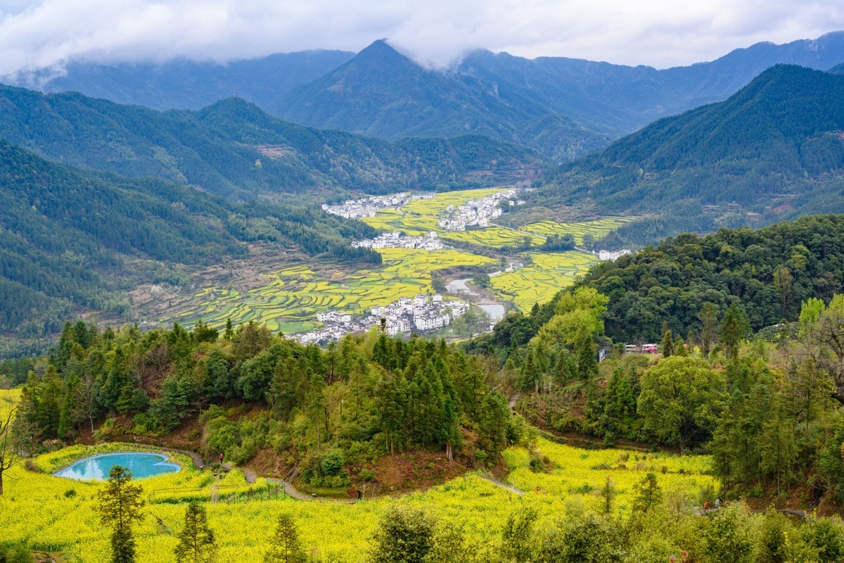 婺源之旅（时隔7年终于拍到油菜花了）