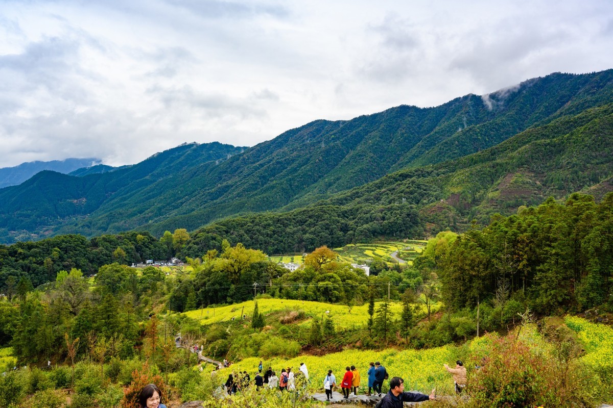 婺源之旅（时隔7年终于拍到油菜花了）