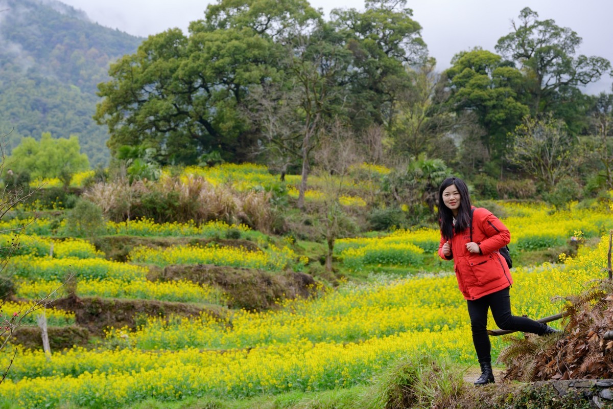 婺源之旅（时隔7年终于拍到油菜花了）