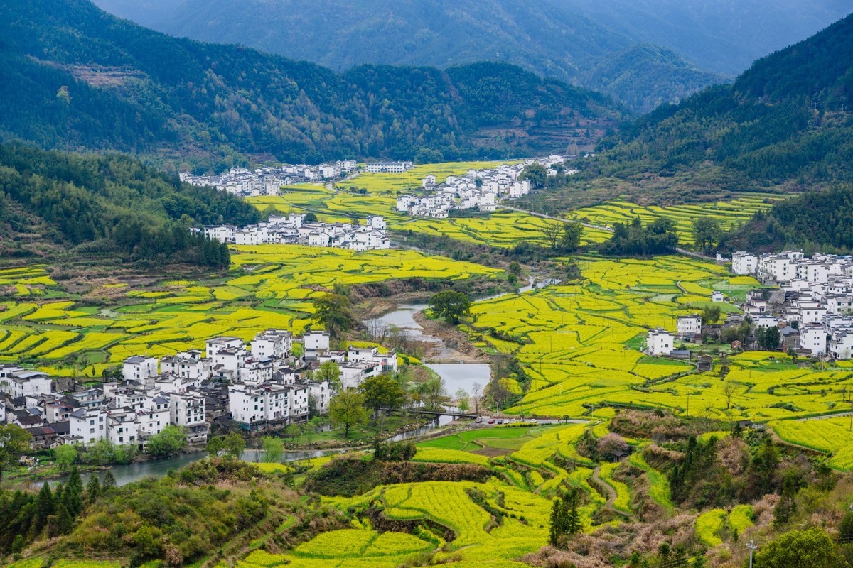 婺源之旅（时隔7年终于拍到油菜花了）