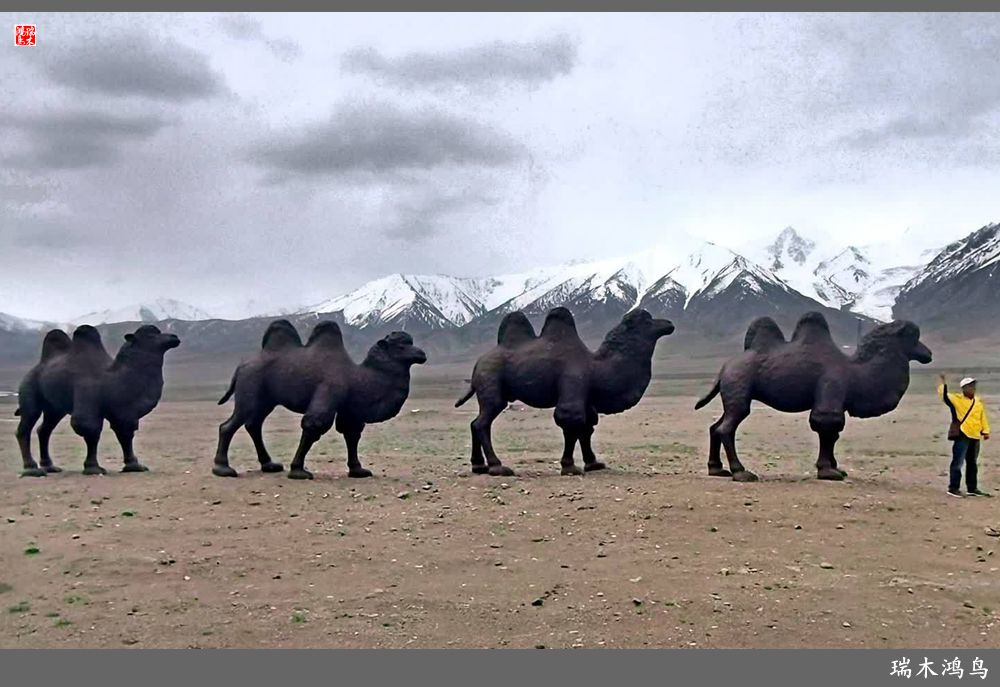 【甘青大环线】18.走上青藏高原眺望巍巍昆仑