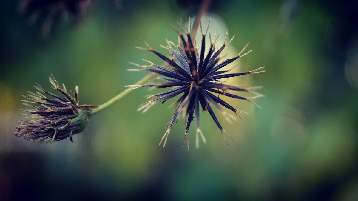 尘封已久的索尼A37