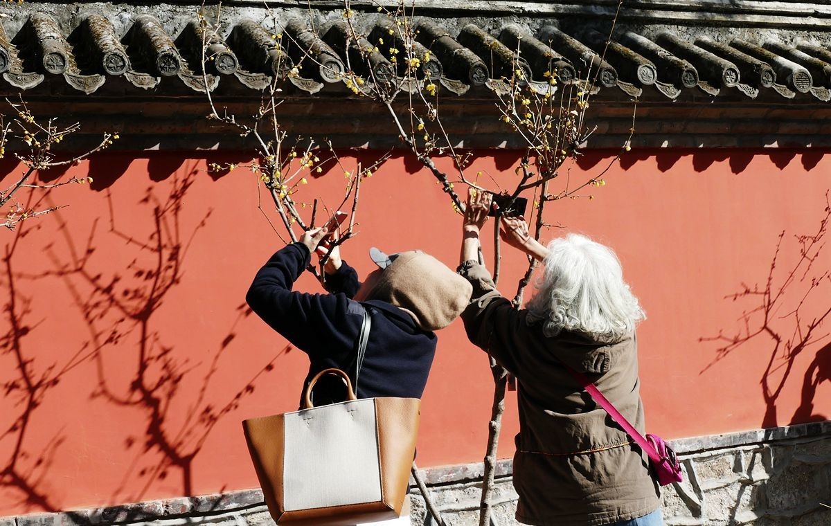 初春的卧佛寺【上】