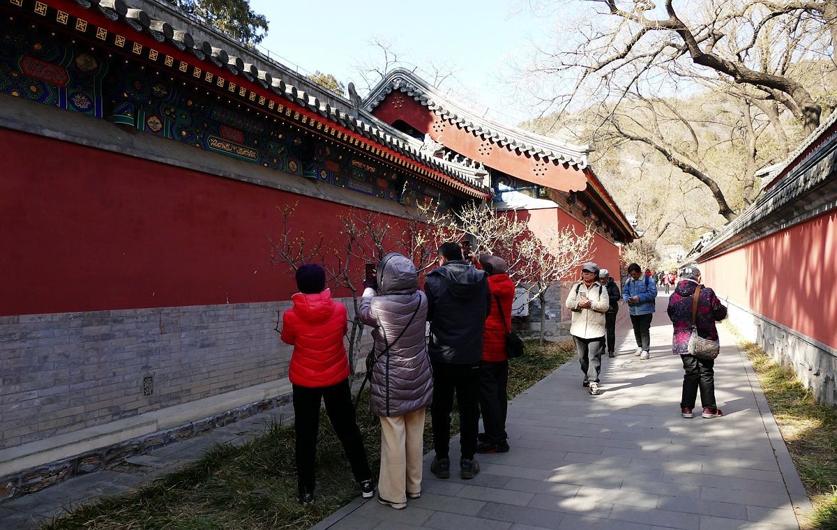 初春的卧佛寺【上】