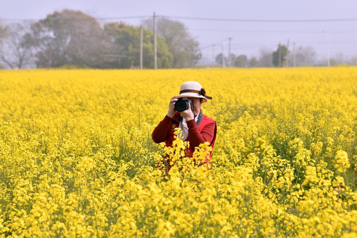 花香吸引摄影爱好者