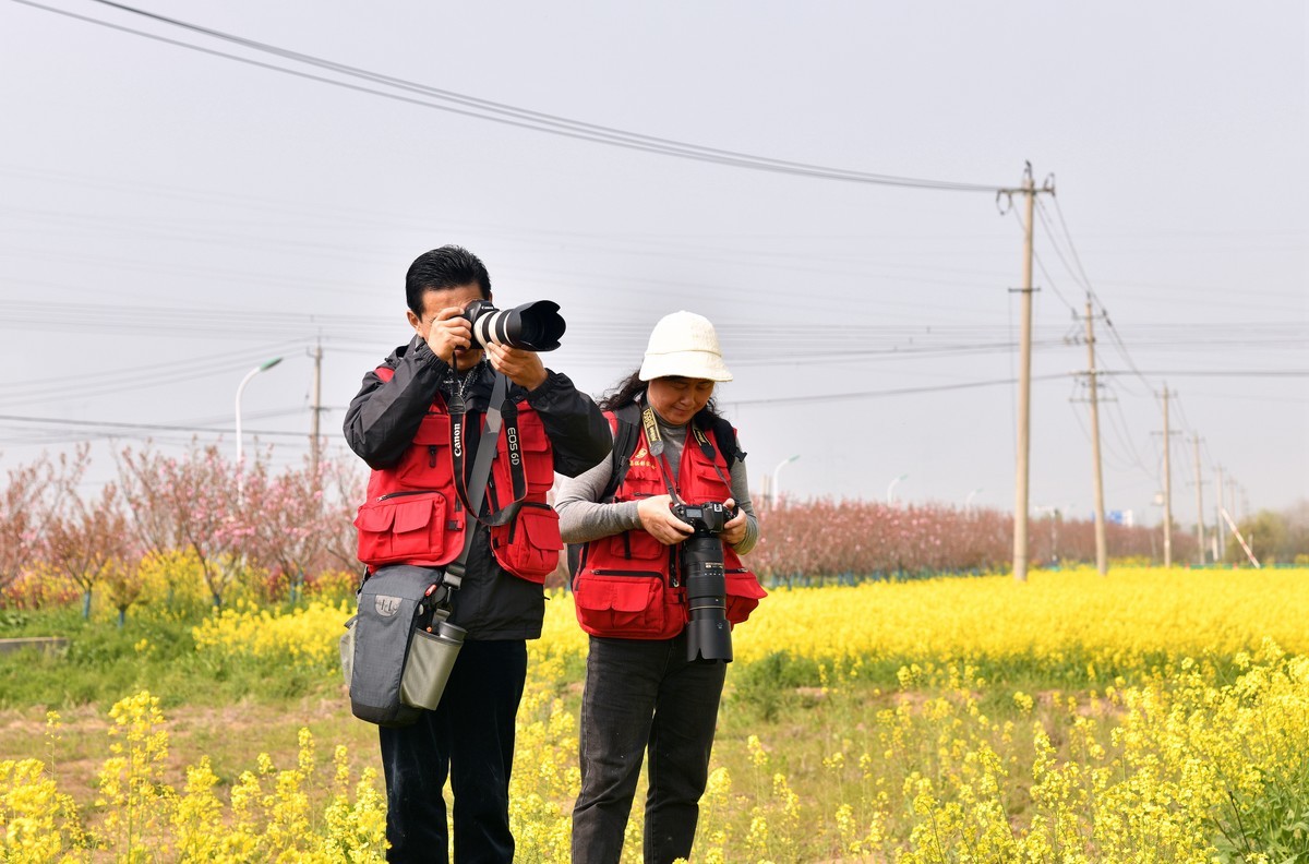 花香吸引摄影爱好者