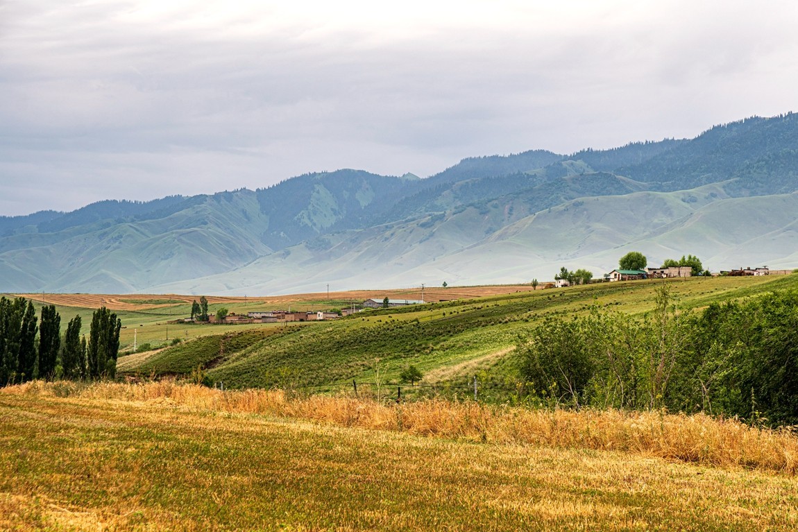 那拉提河谷草原【4】