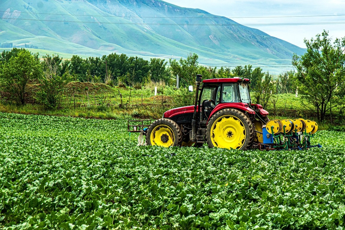 那拉提河谷草原【4】