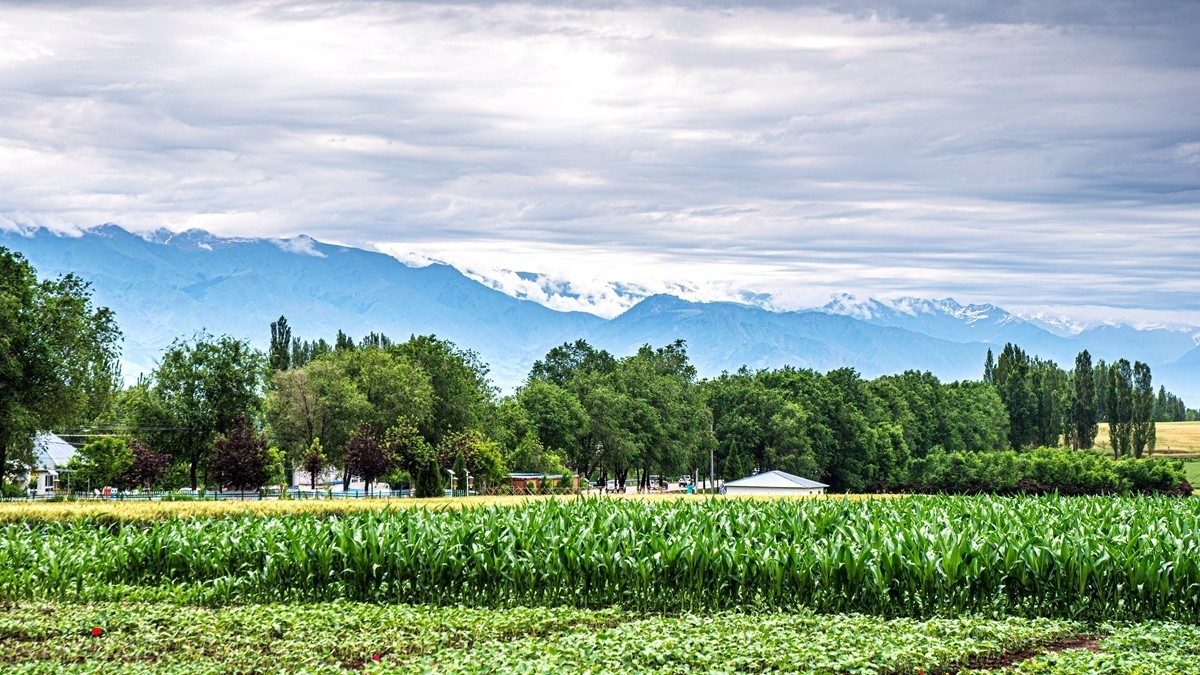 那拉提河谷草原【4】
