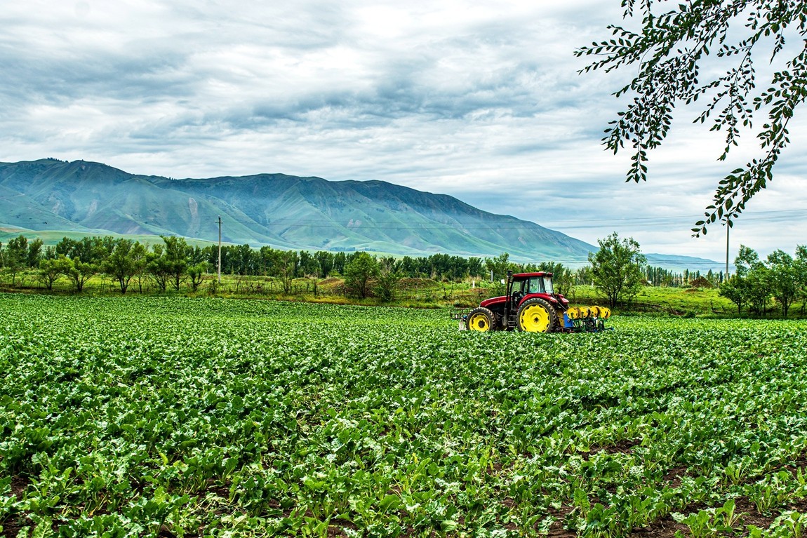 那拉提河谷草原【4】