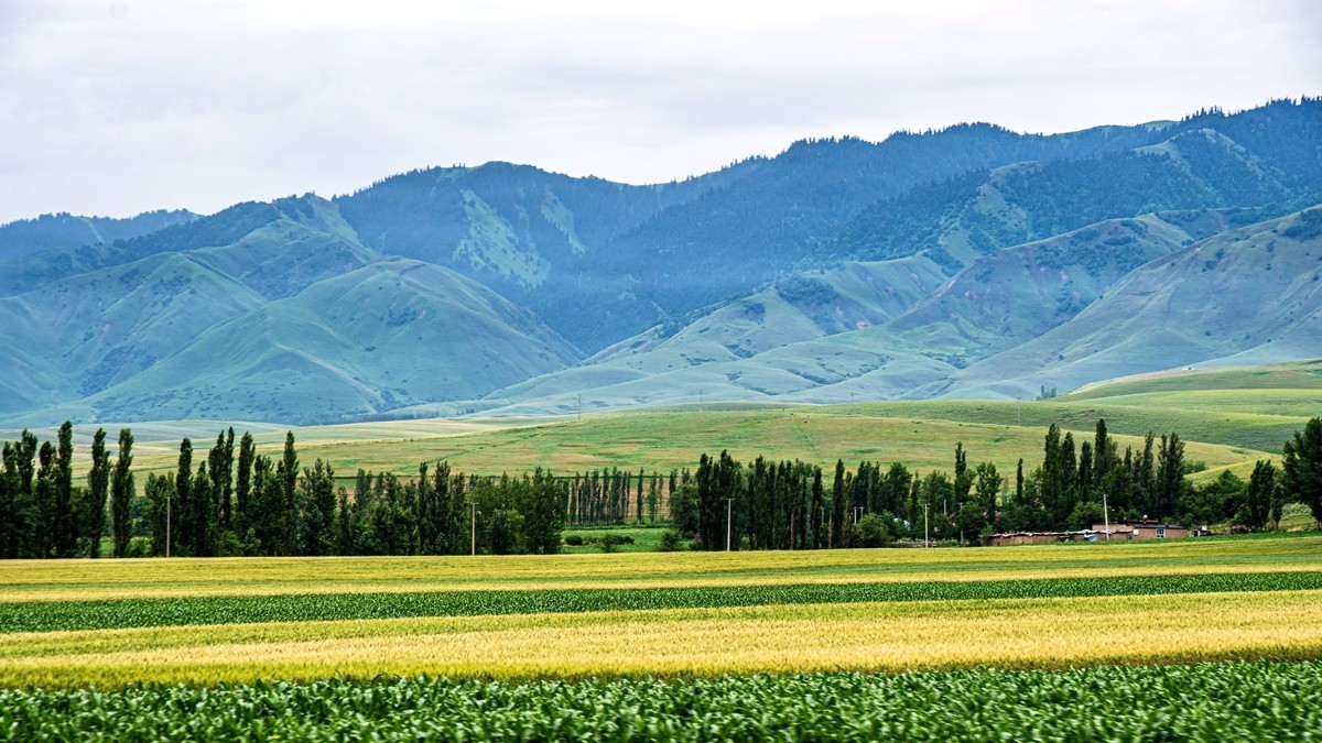 那拉提河谷草原【4】