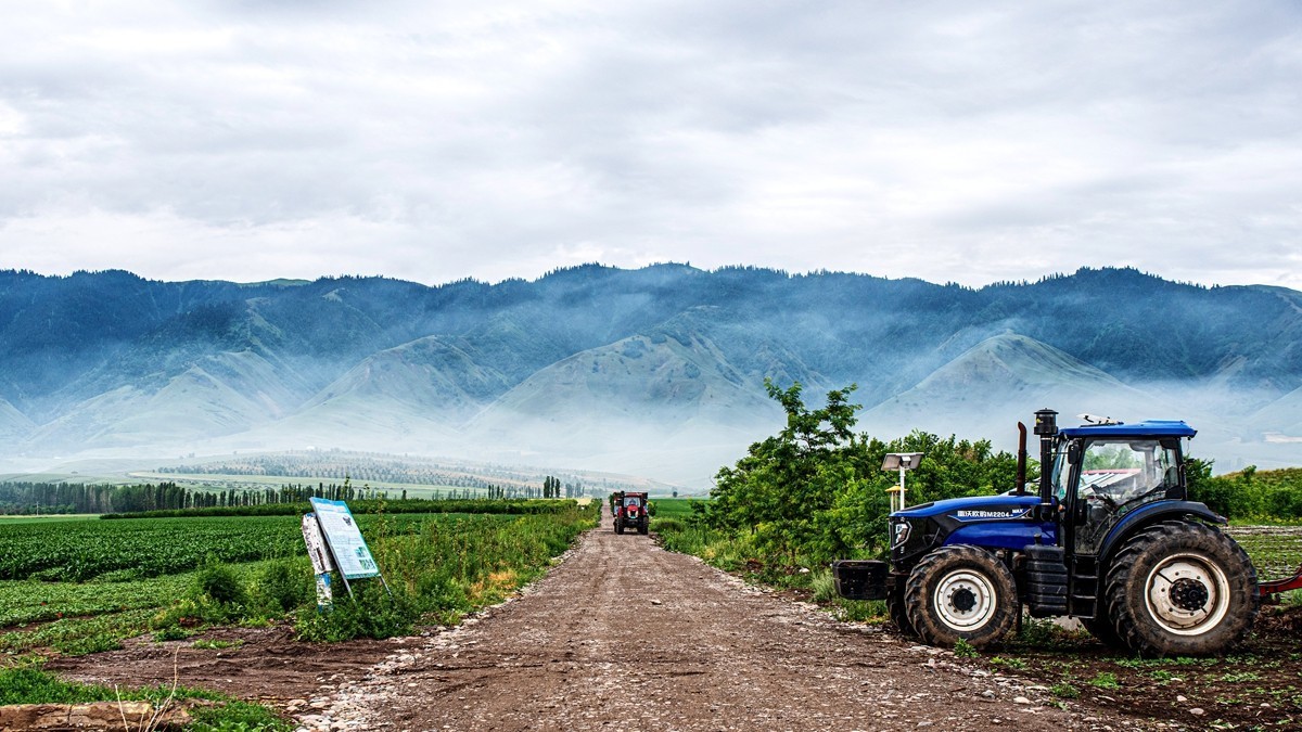 那拉提河谷草原【4】