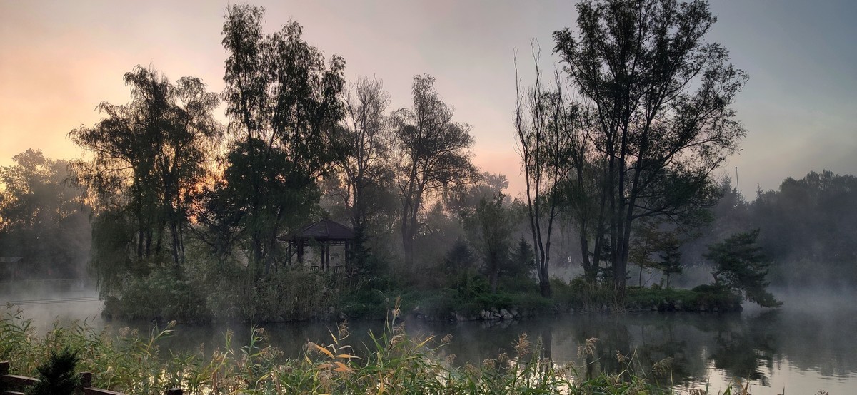 晨雾中的的公园