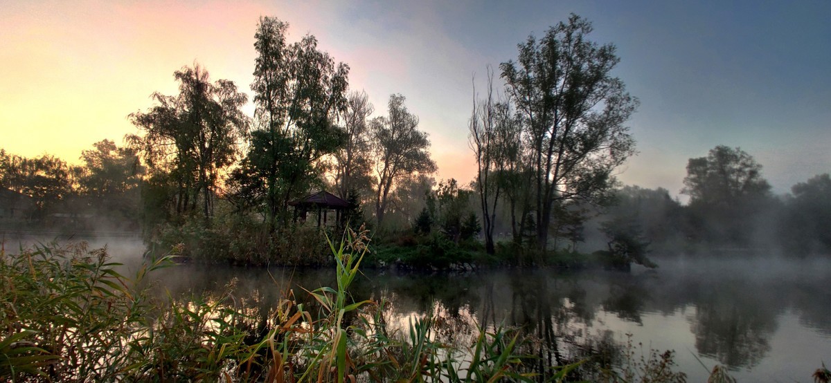 晨雾中的的公园