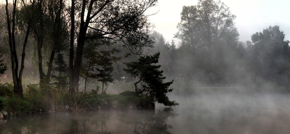 晨雾中的的公园