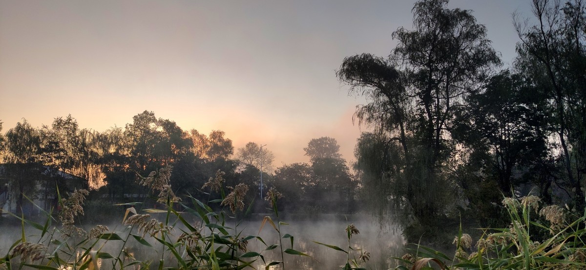 晨雾中的的公园