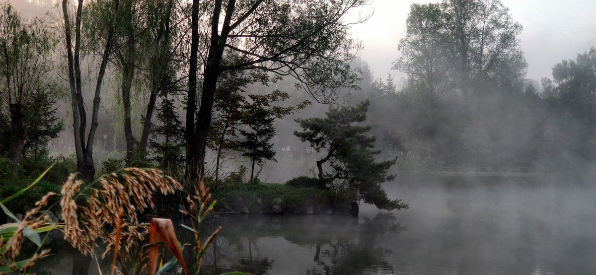 晨雾中的的公园