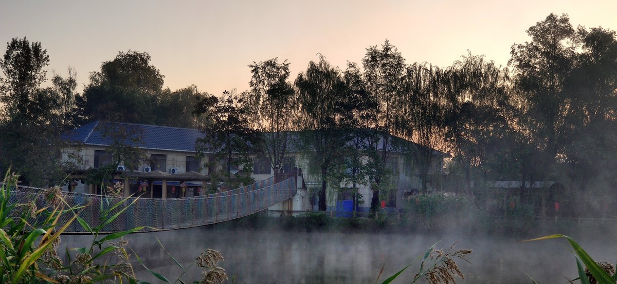 晨雾中的的公园