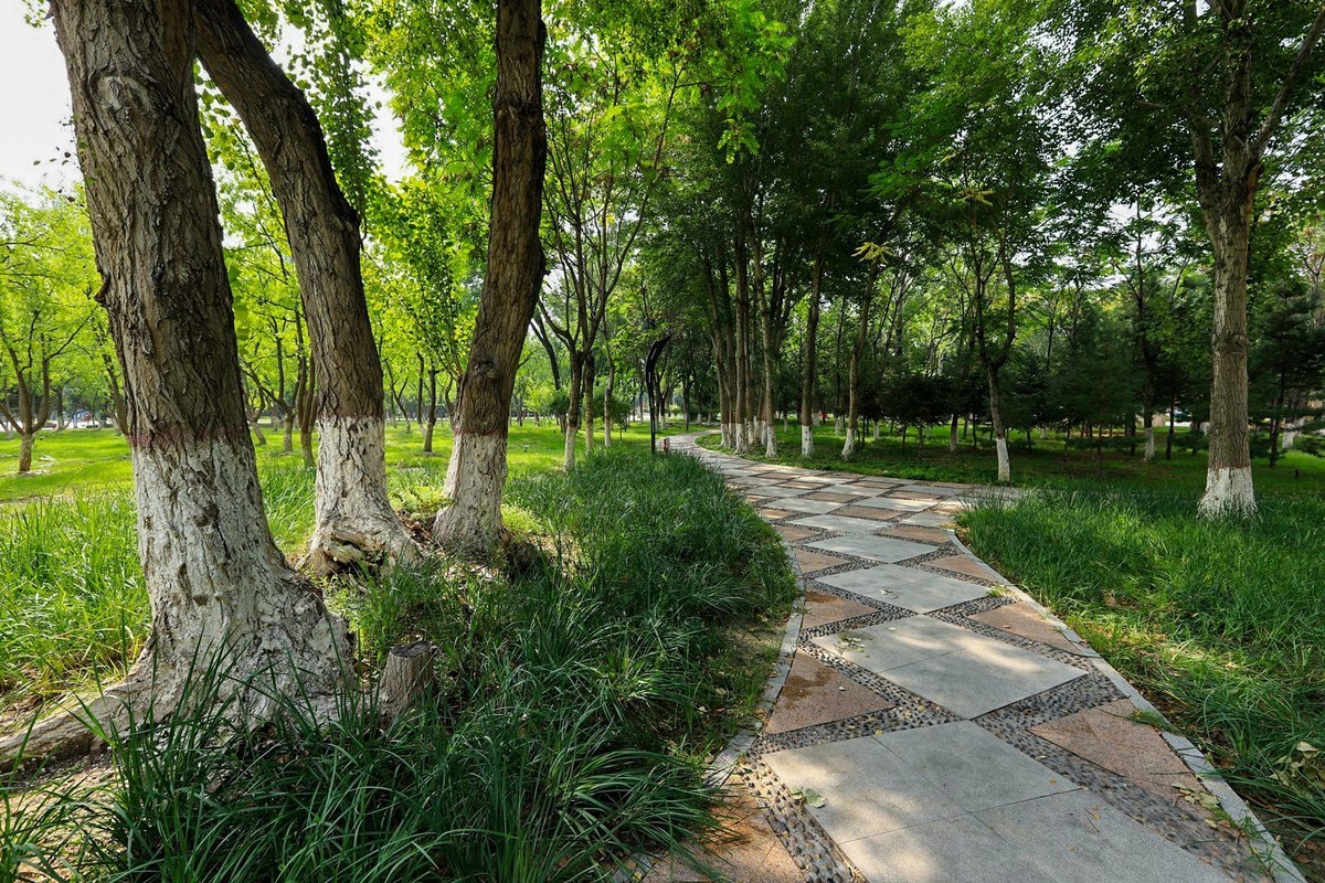 溜达随手拍着玩