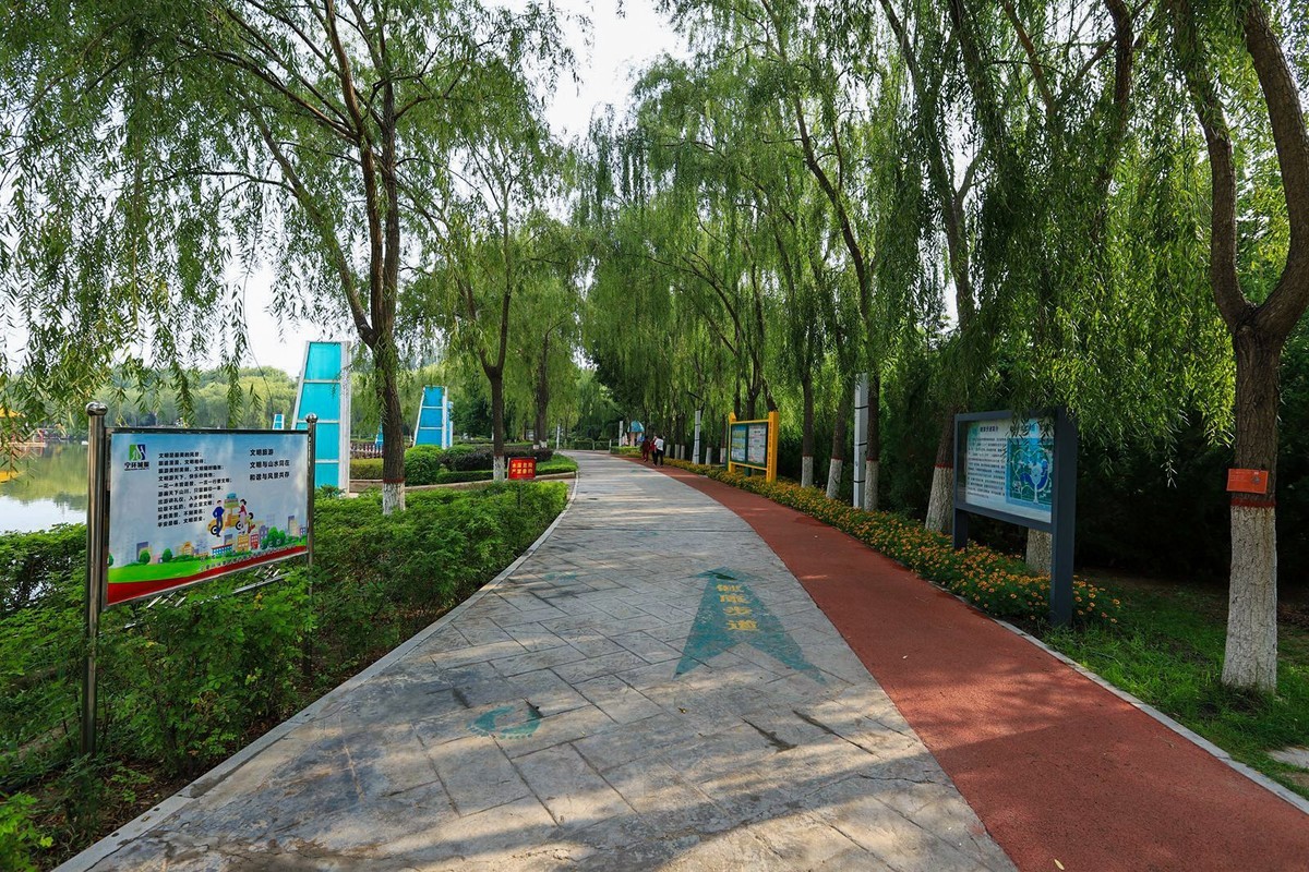 溜达随手拍着玩