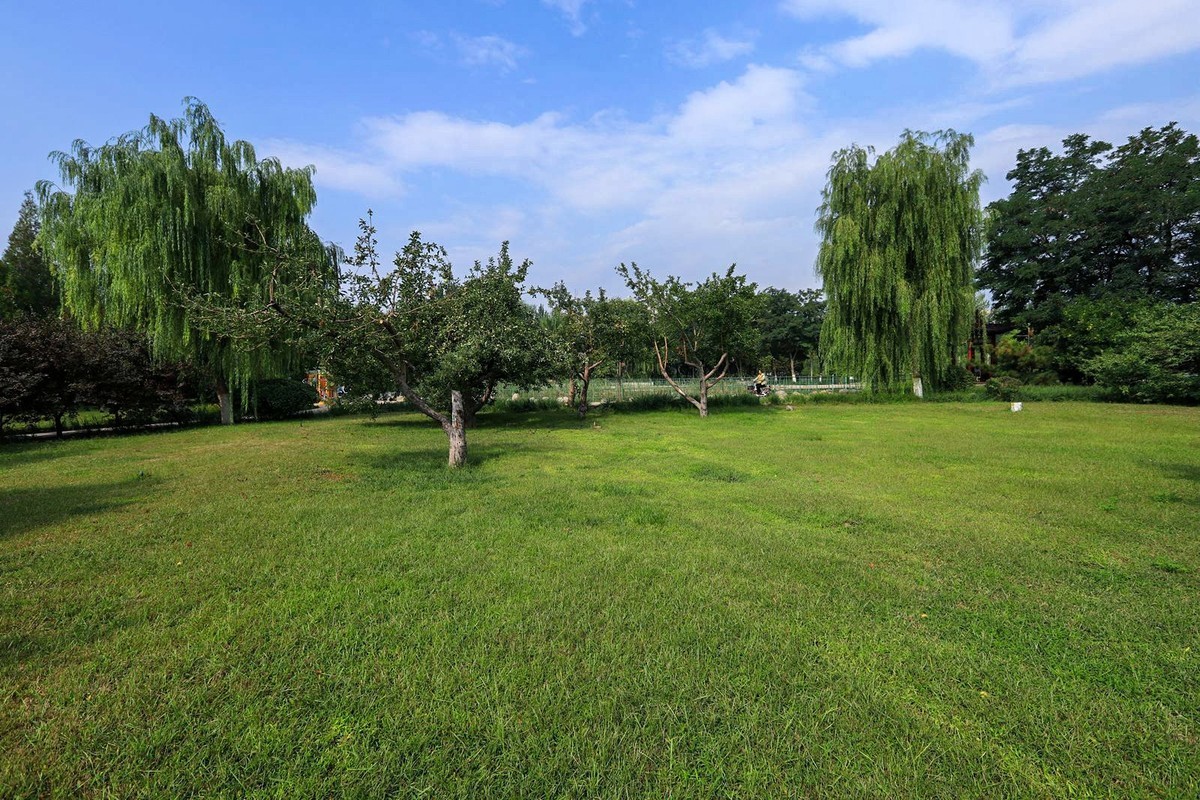 溜达随手拍着玩