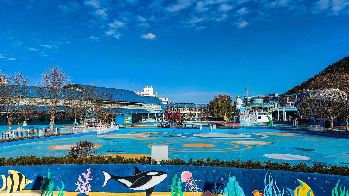 大 连 的 海 - 老 虎 滩 海 洋 公 园