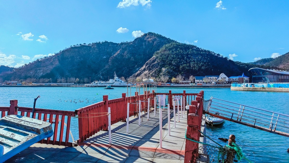 大 连 的 海 - 老 虎 滩 海 洋 公 园