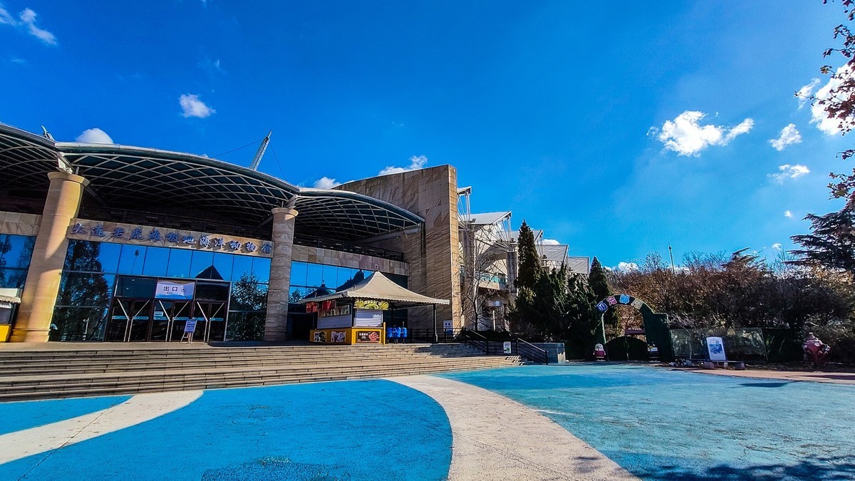 大 连 的 海 - 老 虎 滩 海 洋 公 园