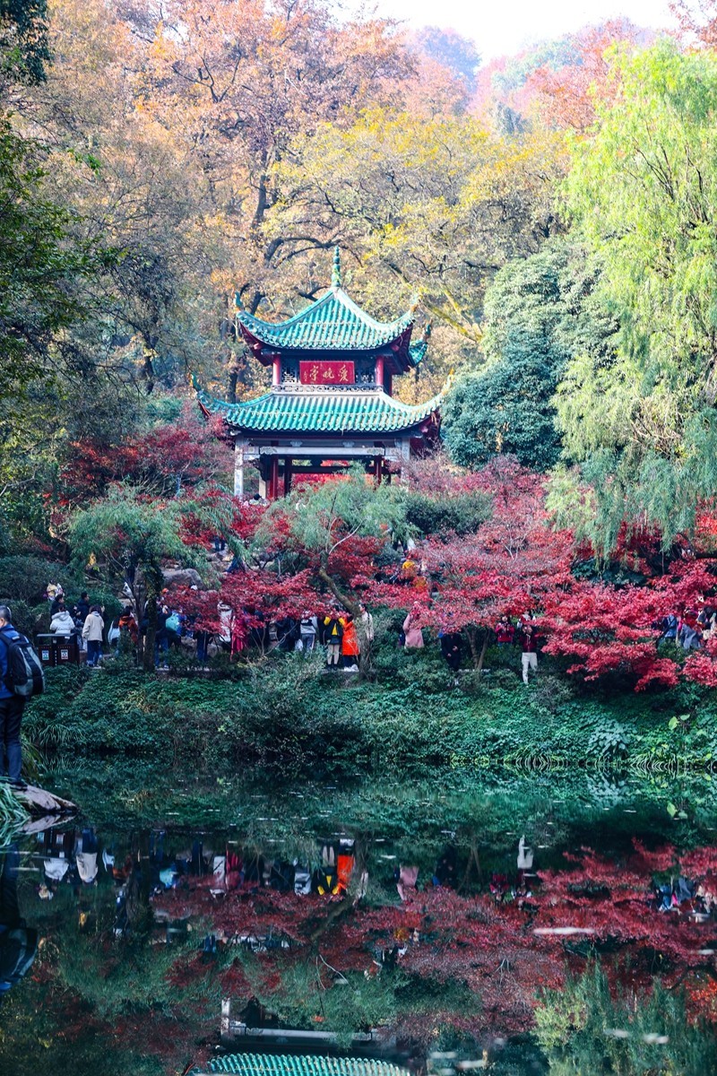 霜叶红于二月花--爱晓亭